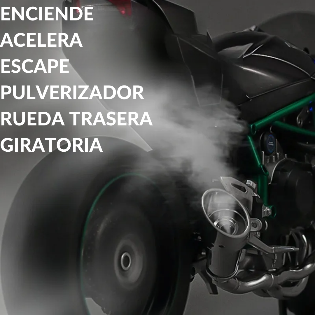 Ninja H2R Modelo 1:6