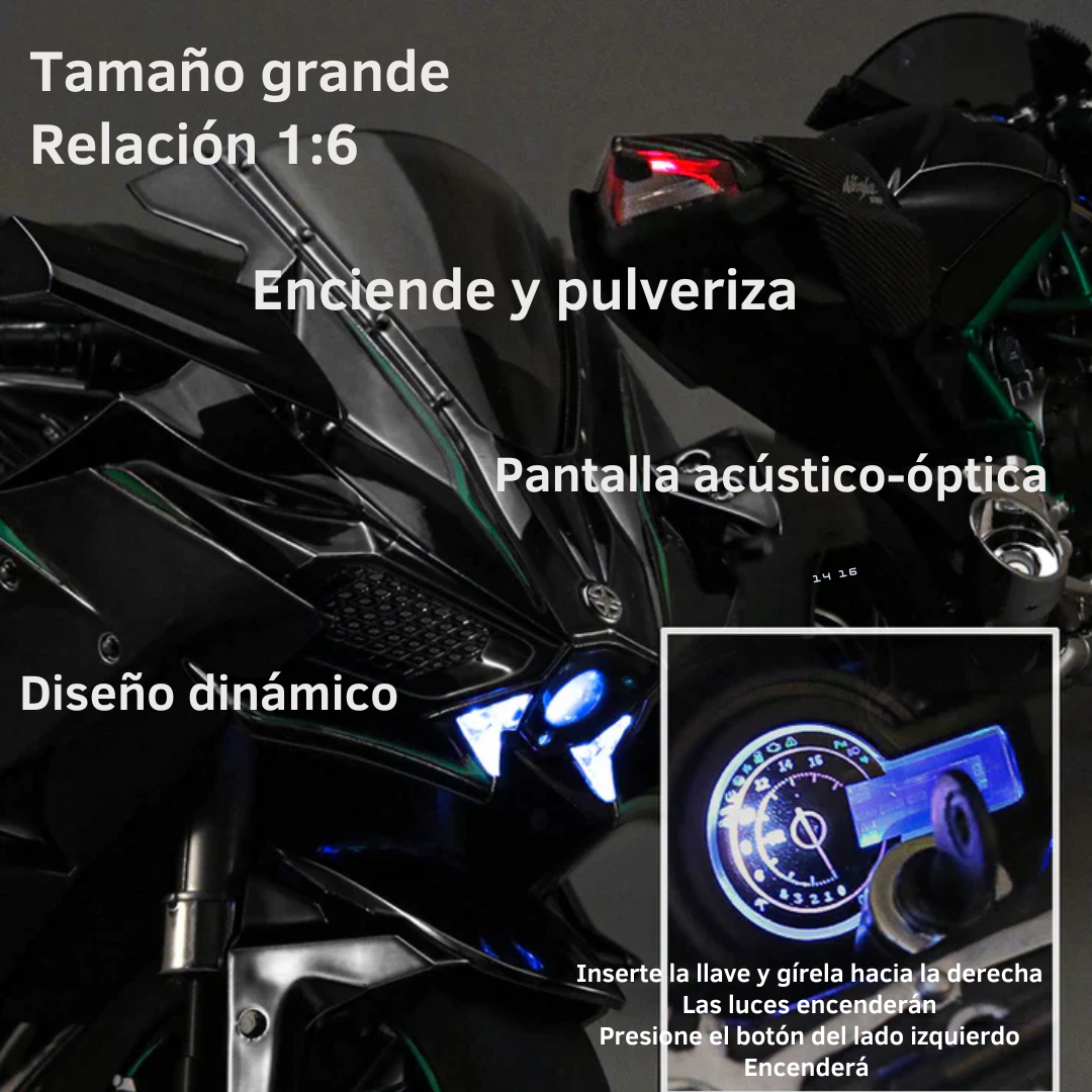 Ninja H2R Modelo 1:6